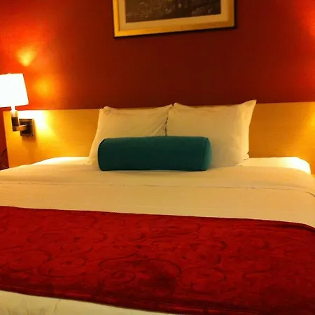 Luxe Ny New York