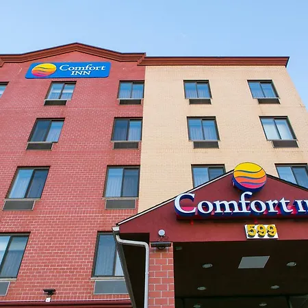 Comfort Near Barclays Center - Crown Heights