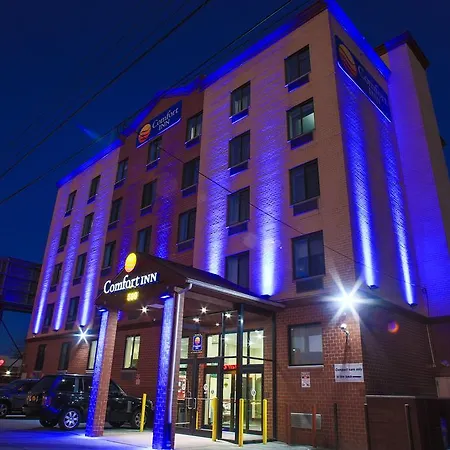 Comfort Near Barclays Center - Crown Heights Hotel New York