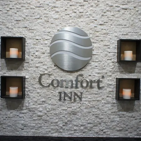 Comfort Near Barclays Center - Crown Heights New York