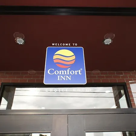 Hotel Comfort Near Barclays Center - Crown Heights New York