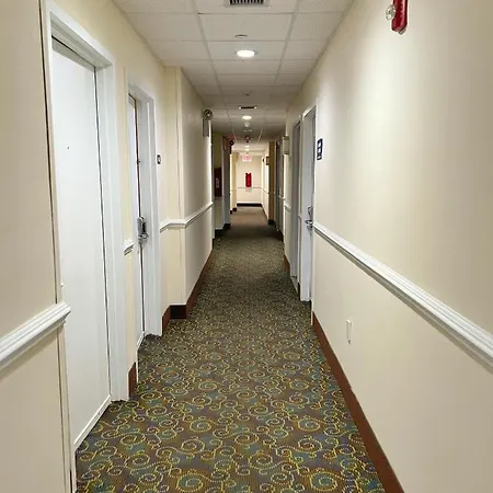 Hotel Ozone Inn & Suites *