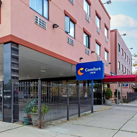 Comfort Brooklyn