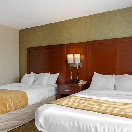 Comfort Brooklyn 2*