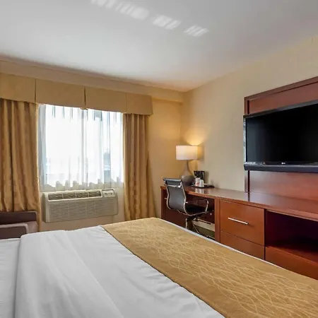 Comfort Brooklyn Hotel