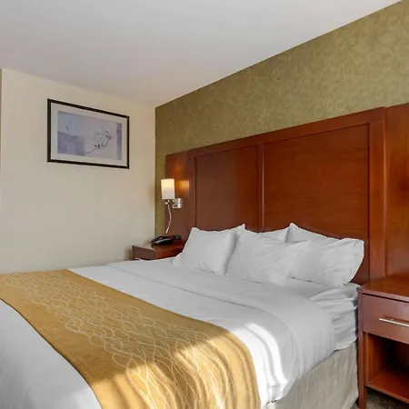 Comfort Brooklyn Hotel New York