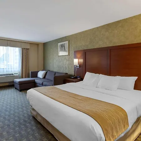 Comfort Brooklyn Hotel New York