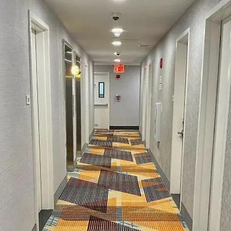 Super 8 By Wyndham Brooklyn Williamsburg 2* New York