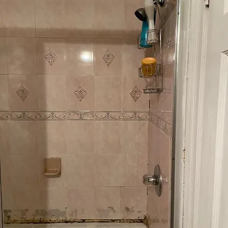 Guest house A Lavish In Queens