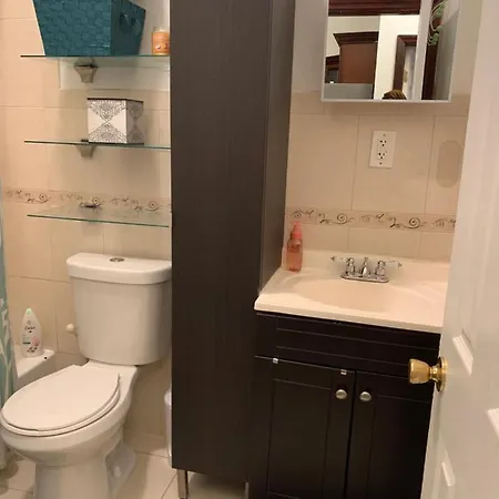 Charming In Bushwick Apartment