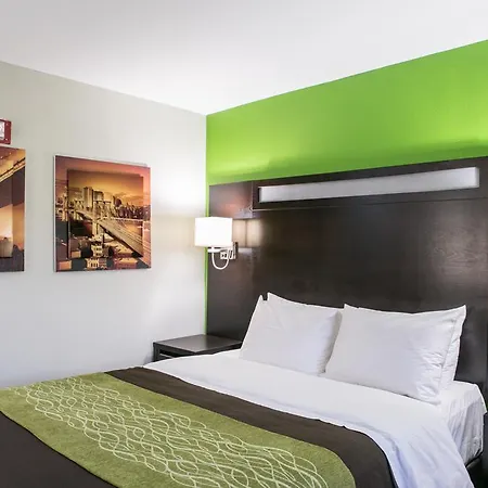 Comfort Near Barclays Center - Crown Heights