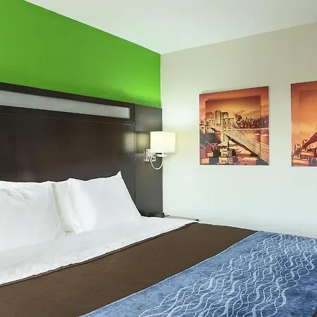 Comfort Near Barclays Center - Crown Heights New York