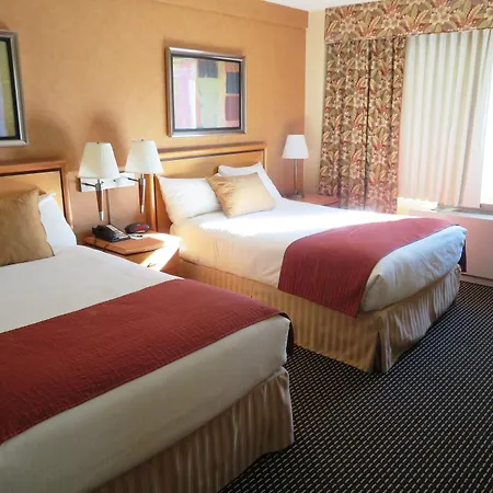 The Skyline Hotel 3*