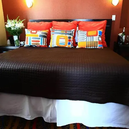 Hotel Nesva - Vista (adults Only) 3*