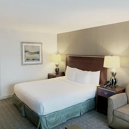 Hilton Jfk Airport 3* New York