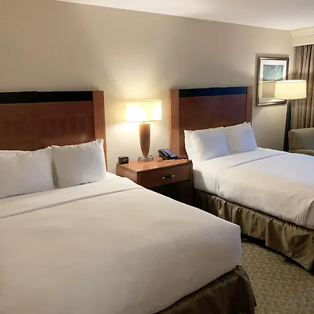 Hilton Jfk Airport