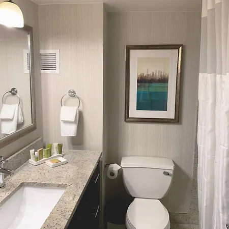 Hotel Hilton Jfk Airport 3*