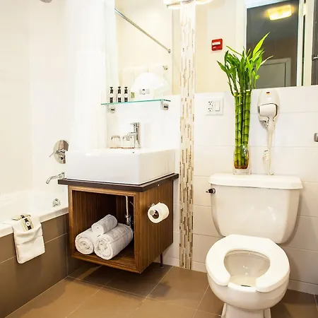 Aura Brooklyn 4*