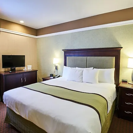 46 Times Square Hotel