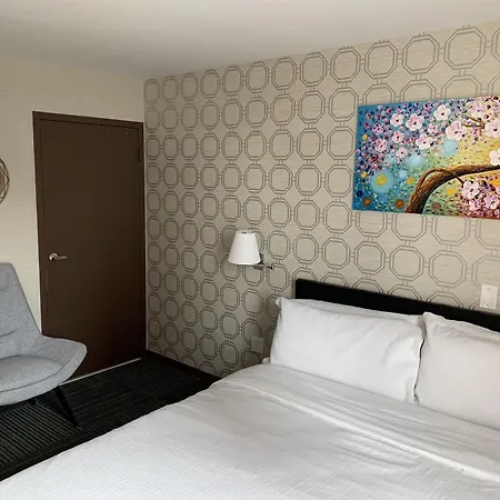 Mimosa Hotel