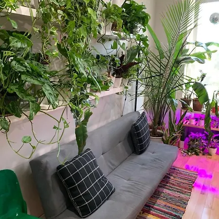 Urban Jungle Oasis In Queens! New York
