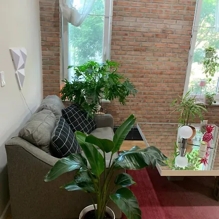 Urban Jungle Oasis In Queens! New York