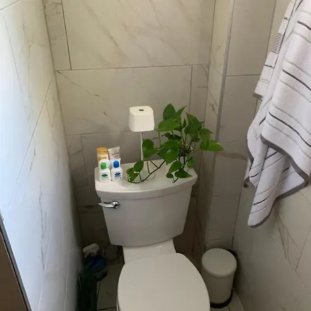 Urban Jungle Oasis In Queens! Homestay