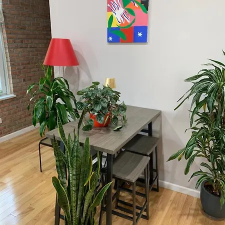 Urban Jungle Oasis In Queens! *