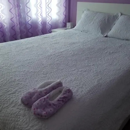 Homestay Maspeth House