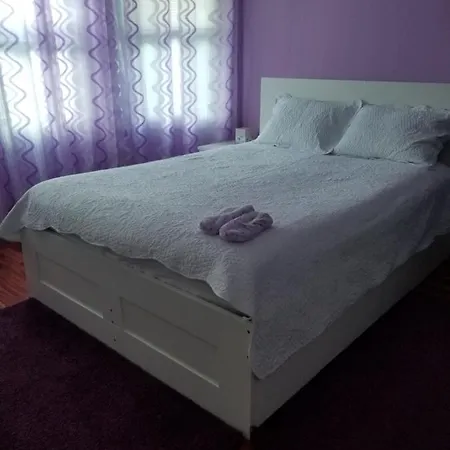 Homestay Maspeth House *