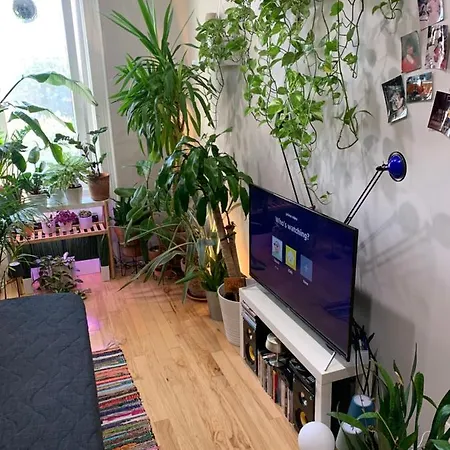 Urban Jungle Oasis In Queens! Homestay New York