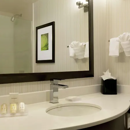 Hotel Hilton Garden Manhattan Midtown East 3*
