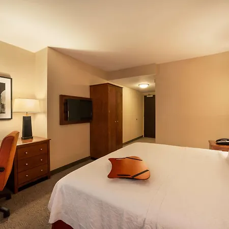 Hampton Manhattan/downtown- Financial District 3* New York