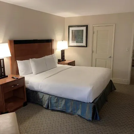 Hilton Jfk Airport 3* New York