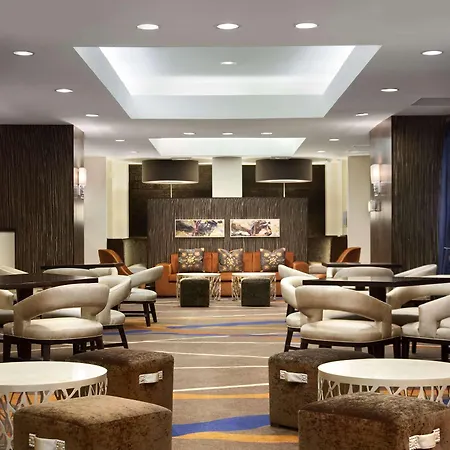 Hotel Hilton Jfk Airport New York