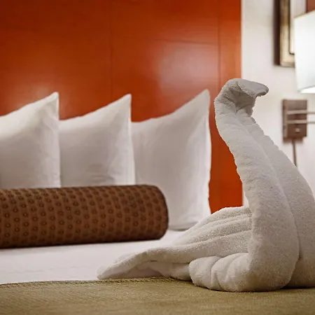 Western Jfk Airport 3*