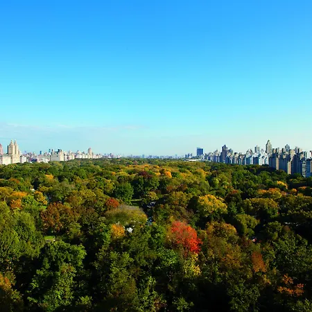 The Ritz-carlton New York, Park Hotel