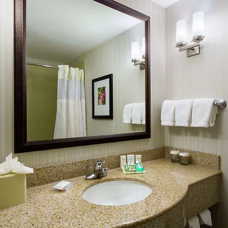 Hilton Garden Queens Jfk 3* New York