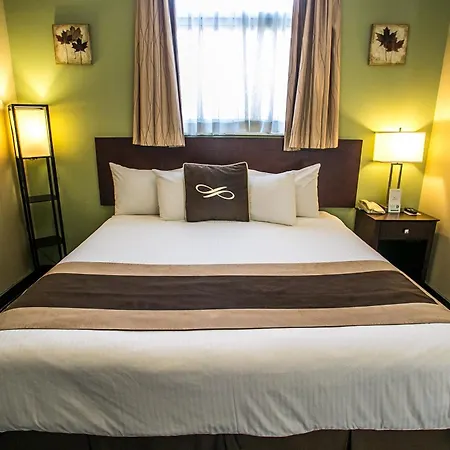 Pointe Plaza (adults Only) Hotel New York
