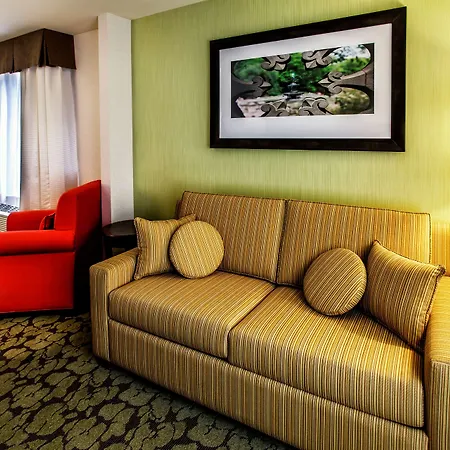 Hotel Hilton Garden New York/staten Island New York