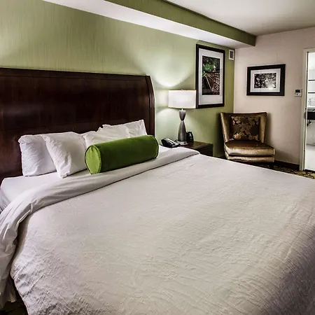 Hilton Garden New York/staten Island New York