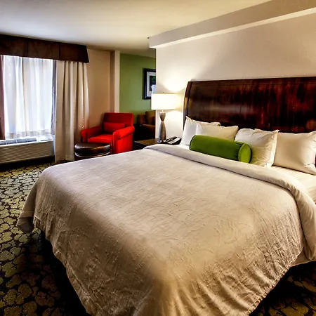 Hilton Garden New York/staten Island 3* New York