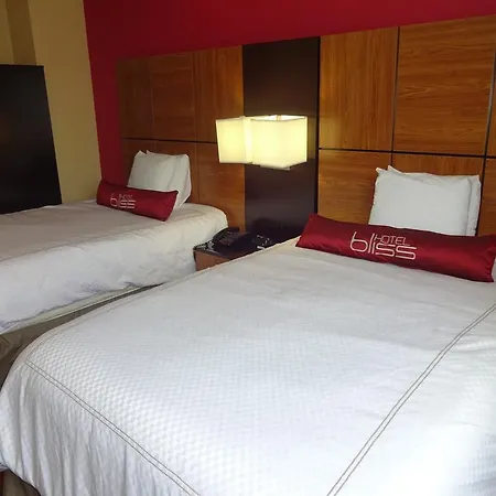 Bliss - Brooklyn Hotel New York