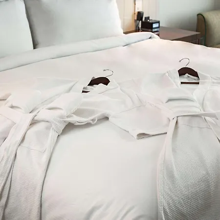 Hilton Brooklyn - Newly Renovated New York
