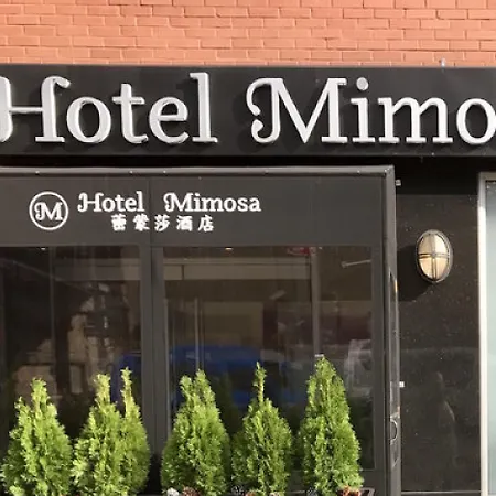 Mimosa Hotel