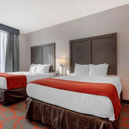 Hotel Comfort & Near Stadium
