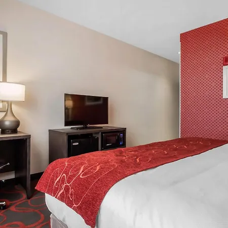 Comfort & Near Stadium 4*