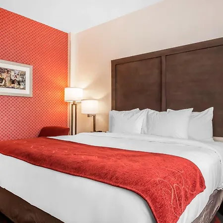 Hotel Comfort & Near Stadium