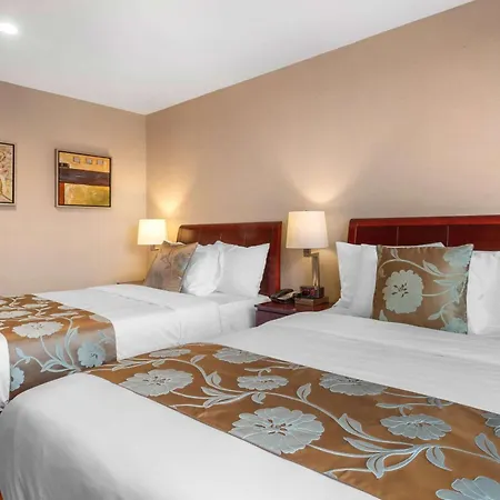 Hotel The L 3*