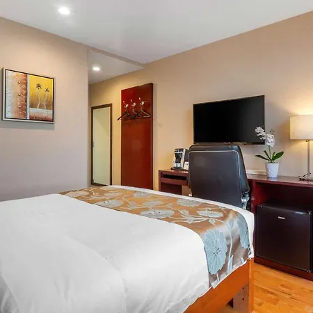 The L Hotel